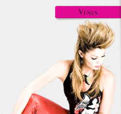 Шаблон для uCoz Venus Шаблон для uCoz Venus