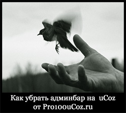 Как убрать админбар на uCoz?